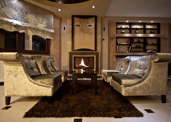 酒店 艾丽顿spa酒店